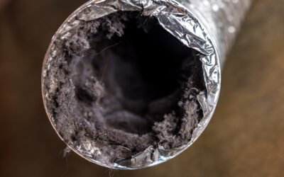 Why Professional Dryer Vent Cleaning Pays Off