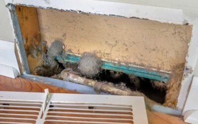 Spring Cleaning for Your Air Ducts